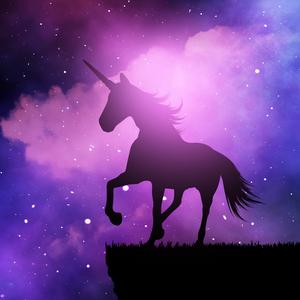 Unicorn (Instrumental)