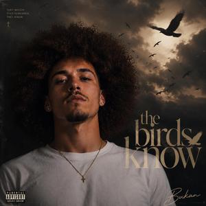 The Birds Know