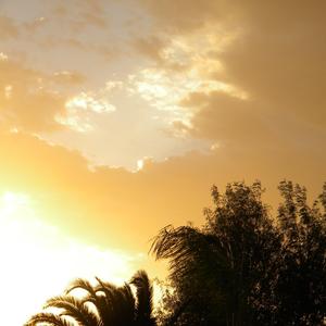 My Car Broke Down, We're Walking Instead (Demo)