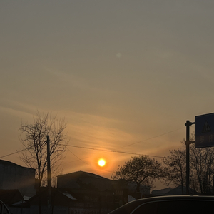 至此流年各天涯