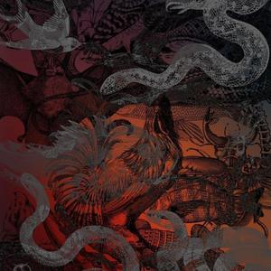 Door (feat. Nofuk & Zemco)