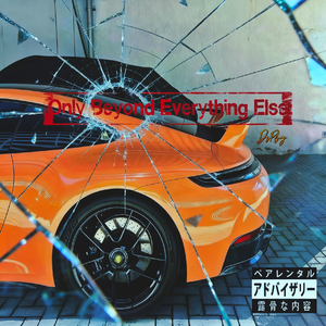 危险品（Dangerous Goods)