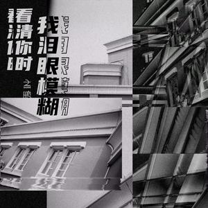 看清你时我泪眼模糊