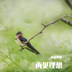 你发给对方都跟