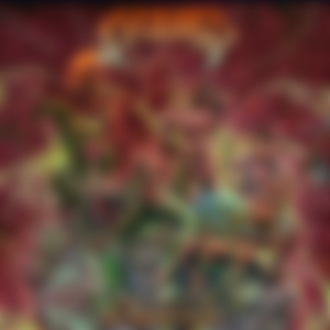 Nullo (The Pleasure of Self-Mutilation)