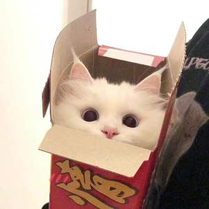 银河公路的告别晚会 Mix2