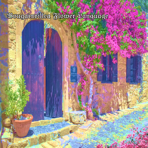 ブーゲンビリアノハナコトバ