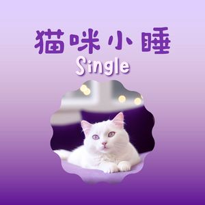 猫咪小睡 - Single