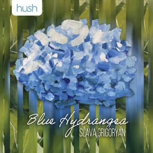 Blue Hydrangea