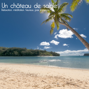 2. AndanteSymphony No. 101 In D Major 'The Clock'