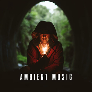 Igniting Concentration in Serenity