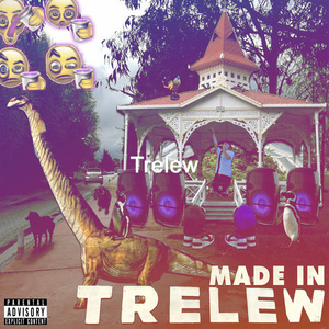 Made In Trelew (intro)