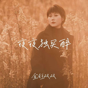 夜夜独买醉