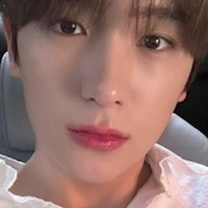 AI 더보이즈 현재 -비행운