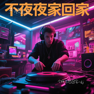 今晚不想回家-dj