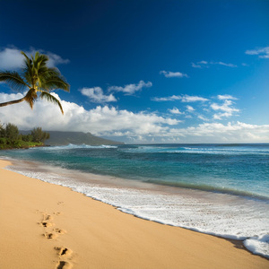 La Suavidad Se Extiende A Través Del Silencio