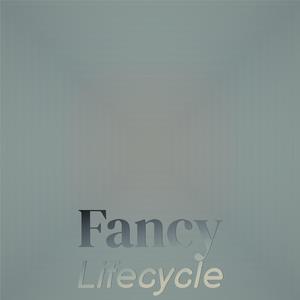 Fancy Lifecycle