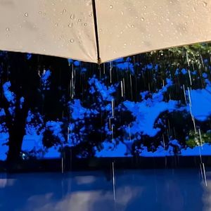 我期待的不是下雪