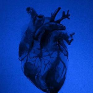 怪我更爱我自己