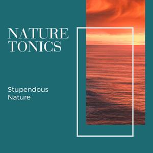 Colorful Memories of Waves