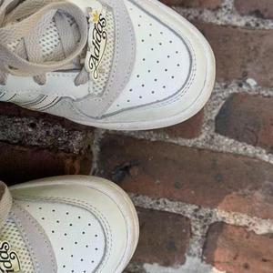 shadows in the meadow