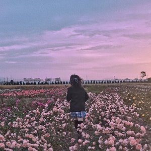 心悸 （rain guitar beat）