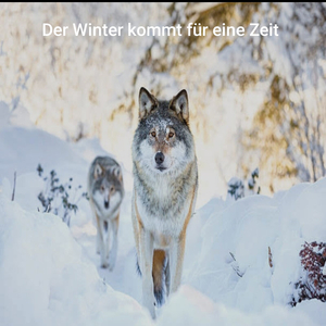 Der Winter Kommt Für Eine Zeit