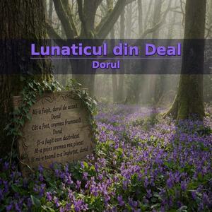 Dorul