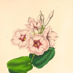 Стишок от уныния