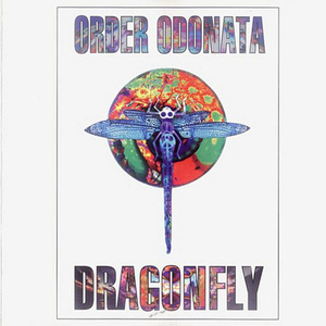 Fast Forward The Future (Voodoo People Remix)