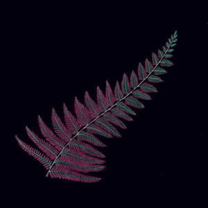 Fahnen