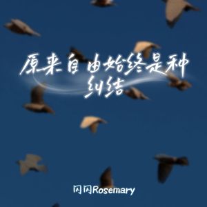 原来自由始终是种纠结