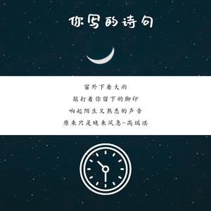 你写的诗句