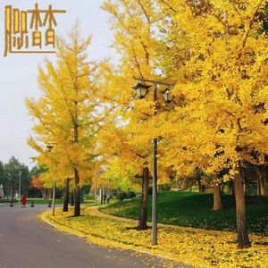 咫尺（Prod By AZYAIRE）