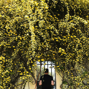 Сходим с ума