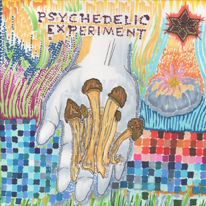 Psychedelic Experiment