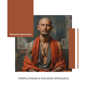 Vipassana (Insiktsmeditation)