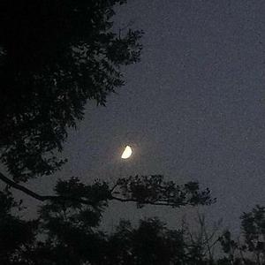 说些自己想说的(prod by 周大发)