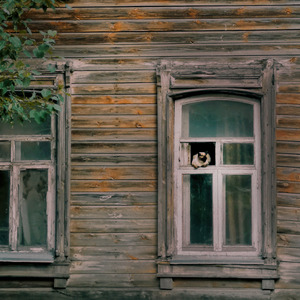 Смола (2025 Remaster)