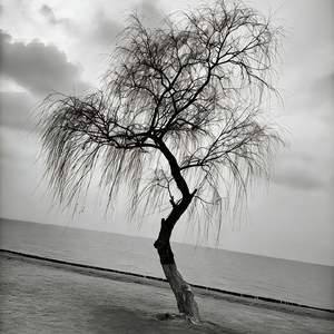 on the verge of collapse