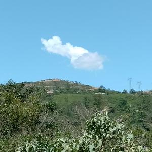 No Brasil, o errado é o certo