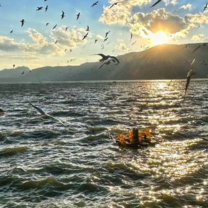 朽木不可雕-恒 伴奏