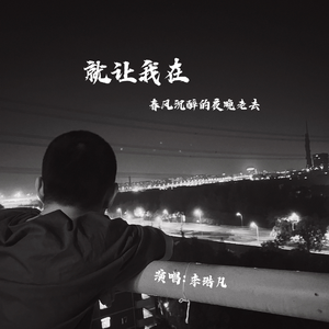 就让我在春风沉醉的夜晚老去（深情版）