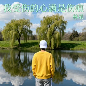 我受伤的心满是伤痕