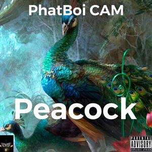 Peacock (feat. Stank MoDollas)