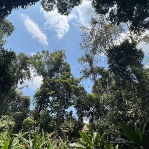 真的回不去了吗