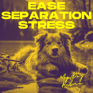 Relieve Stress in Pets