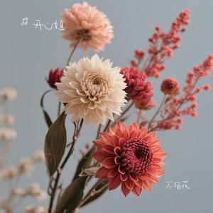 不凋花