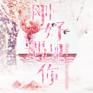 刚好遇见你（Cover 李玉刚）（翻自 李玉刚）