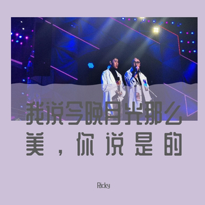 我说今晚月光那么美，你说是的